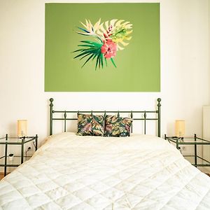 Colors Apartment